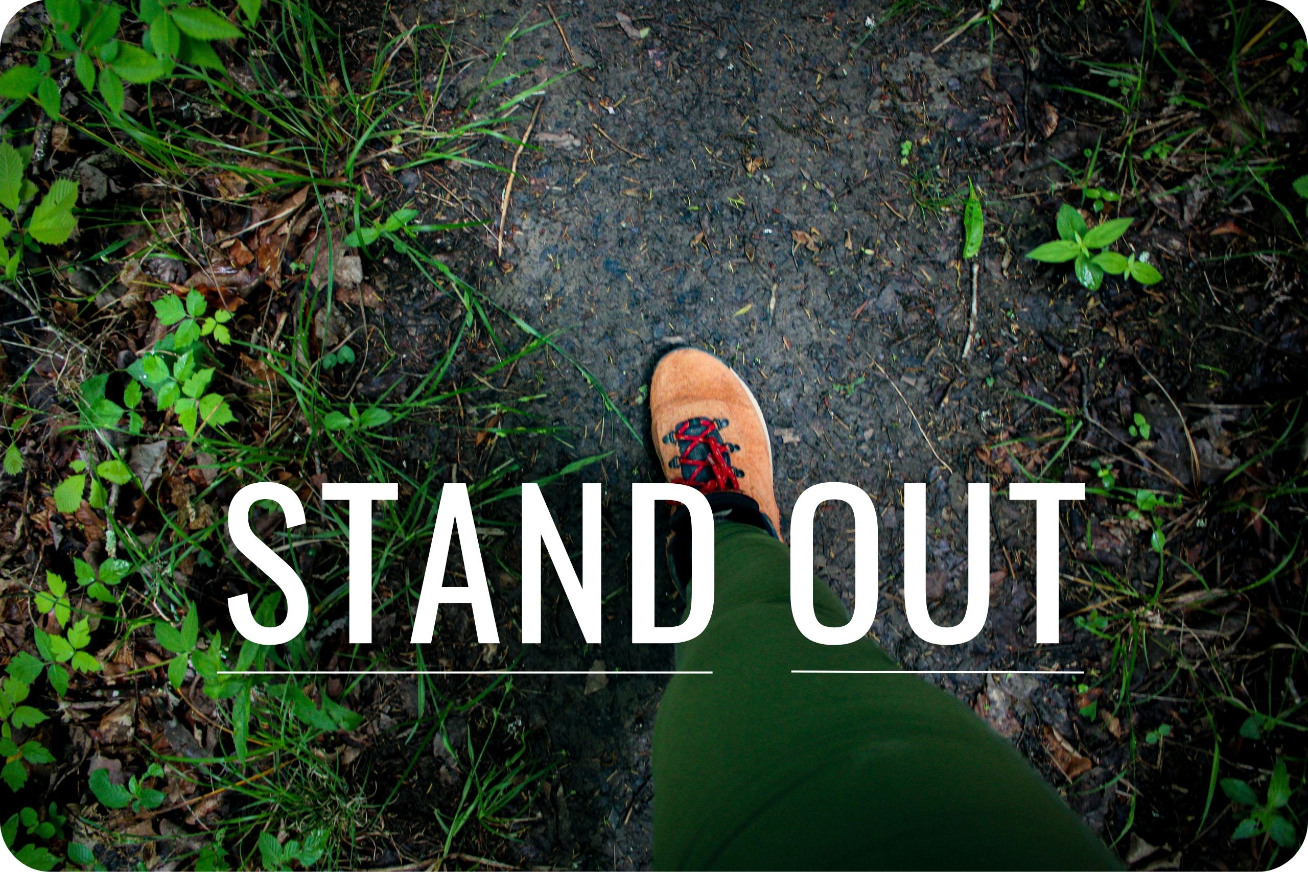 Stand Out A person walking on a path in the wilderness.