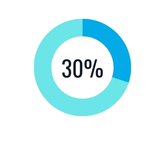 30% Graph Progress ring showing 30%.