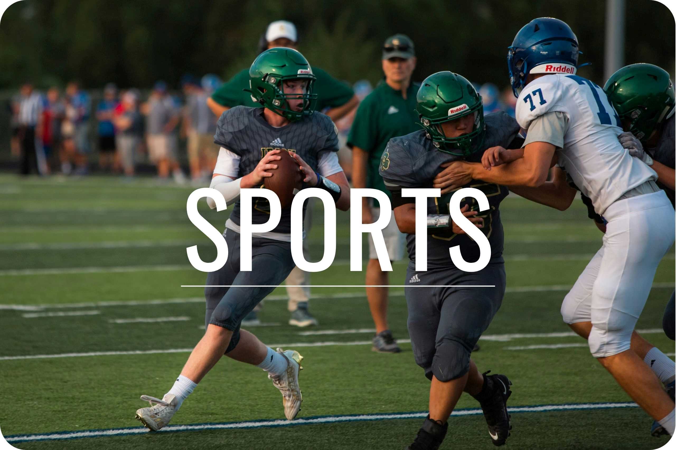 Sports Image of a quarterback about to pass the ball during a football game.